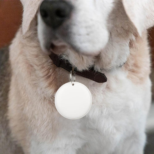 Smart Tag GPS Tracker